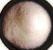 Potassium Gluconate Manufacturers